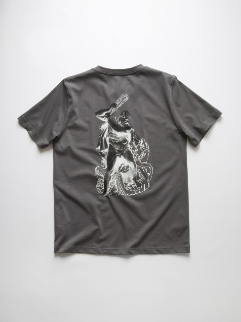 Футболка КентПакет Hydra Slayer Tee Grey